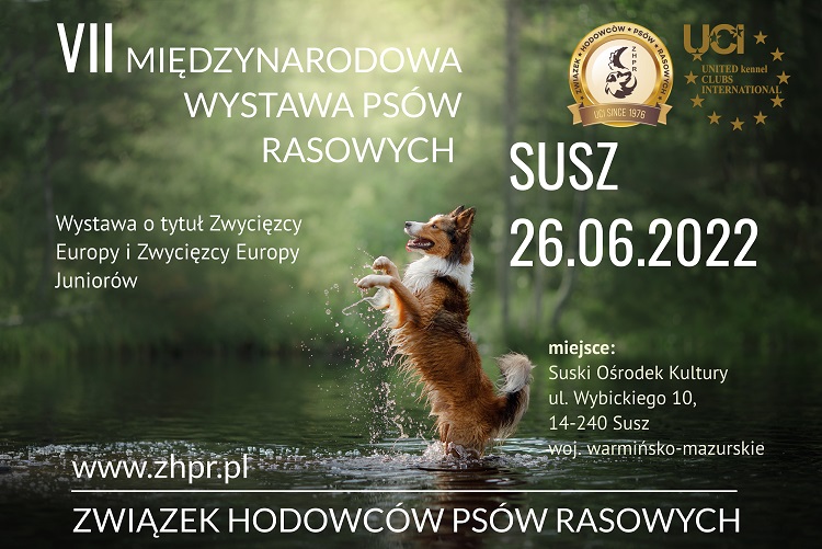 plakat mini